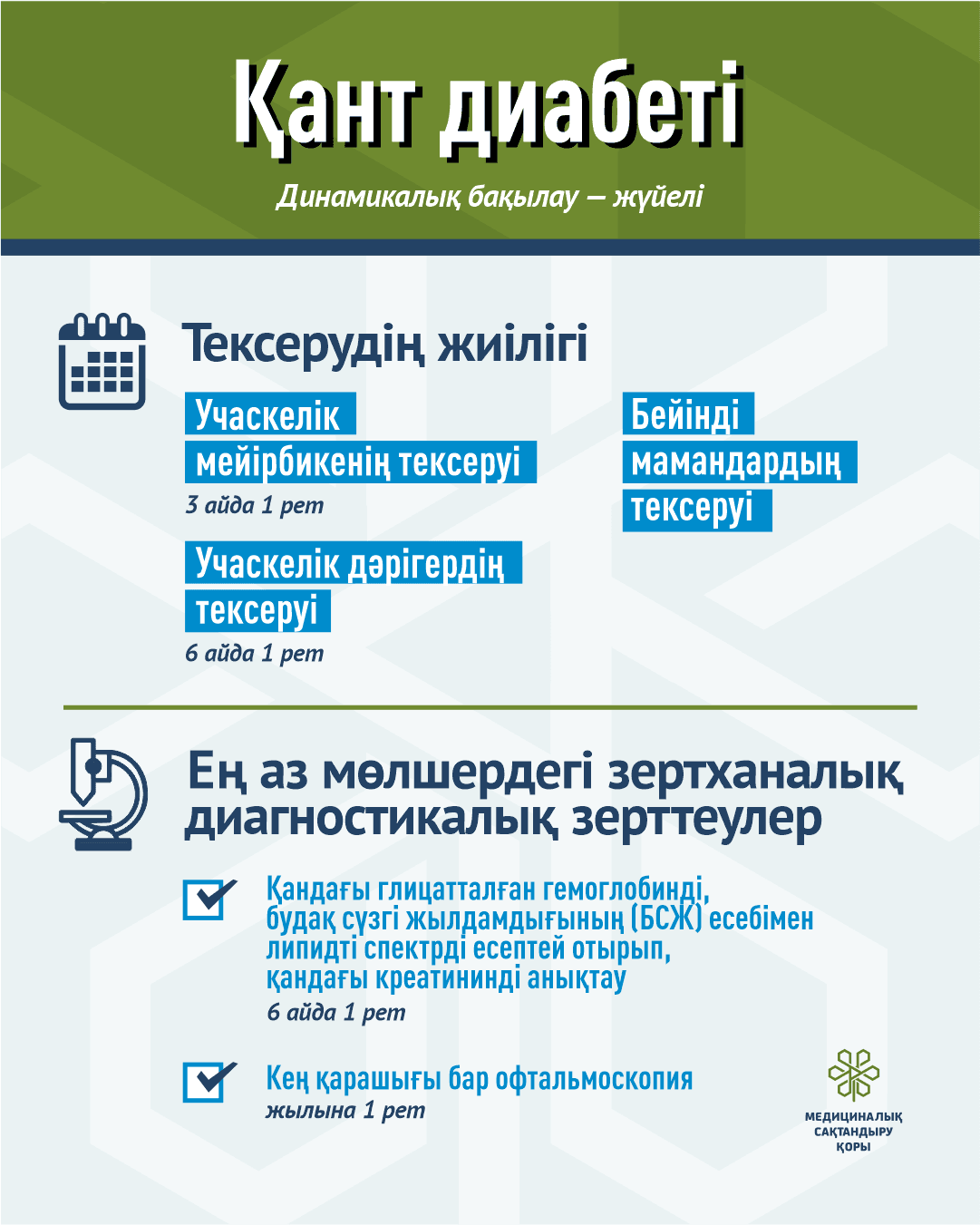 1020_Сахарный диабет_3 слайд_чист_1_каз.png