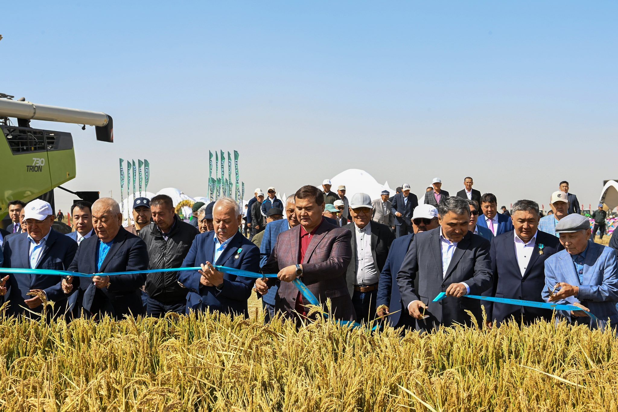 1 Дала күні – 2025 күрішке алғашқы орақ салу рәсімі өтті.jpg