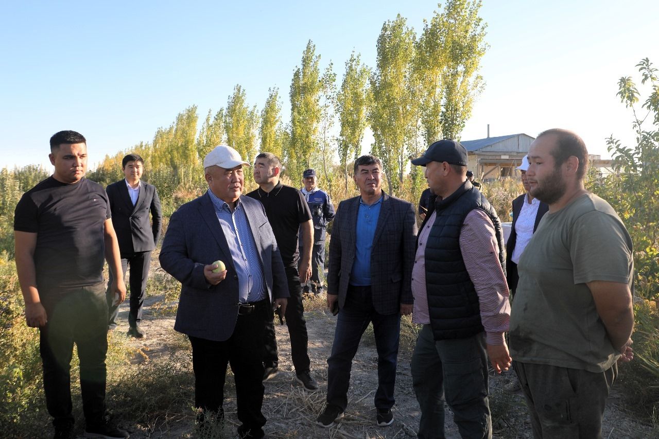 1аудан әкімі тау бөктеріндегі толымды жұмыстармен танысты.jpg