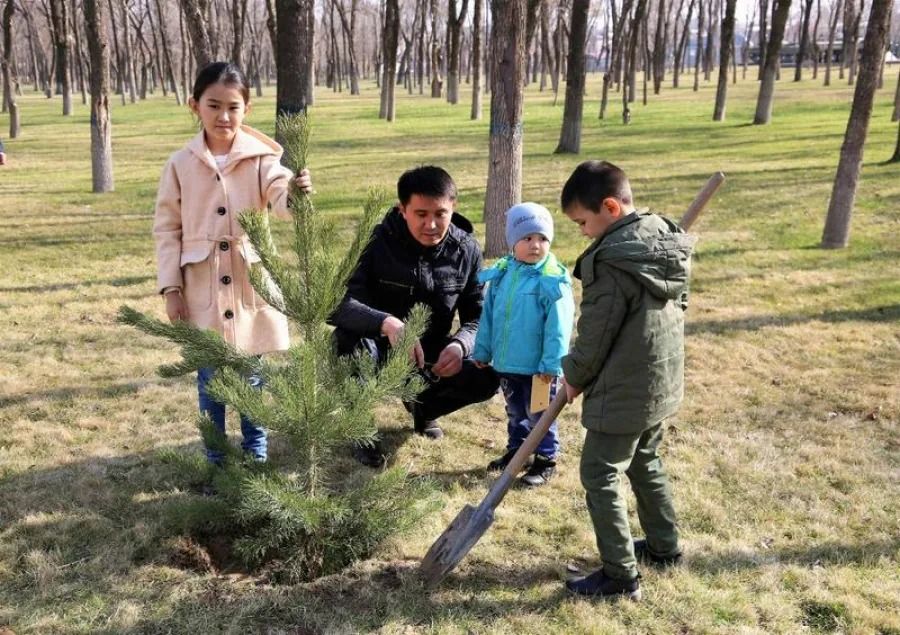 Жасыл сары. Субботник в Узбекистане. Наурыз субботник. Назарбаев в субботнике. Көгалдандыру фото.