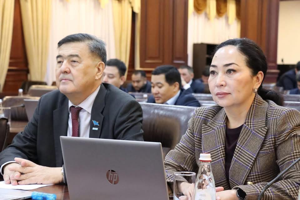 Аманат тұрақты комиссия отырысы 4.jpg