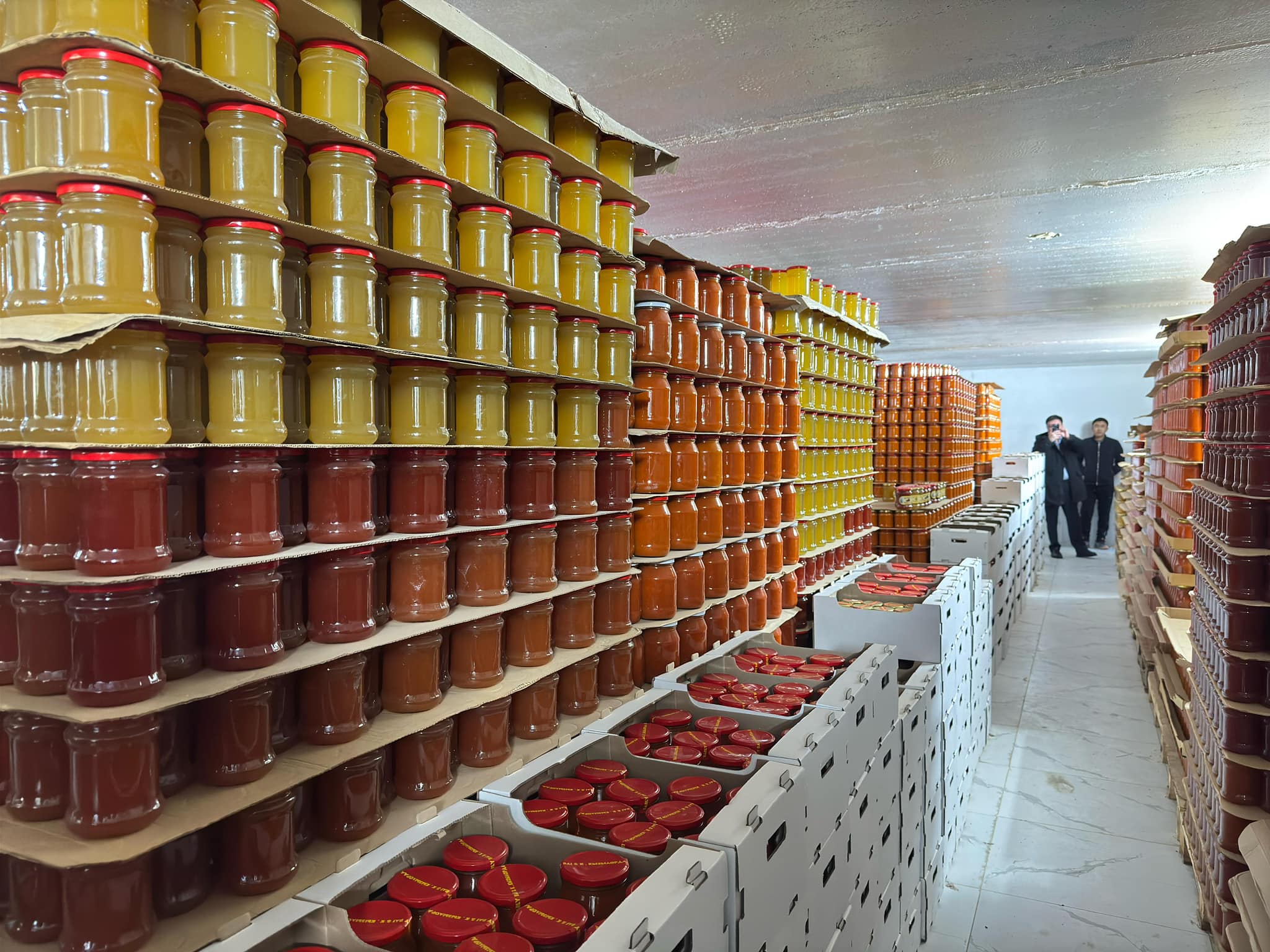 Баспасөз туры Шиелі ауданы.jpg