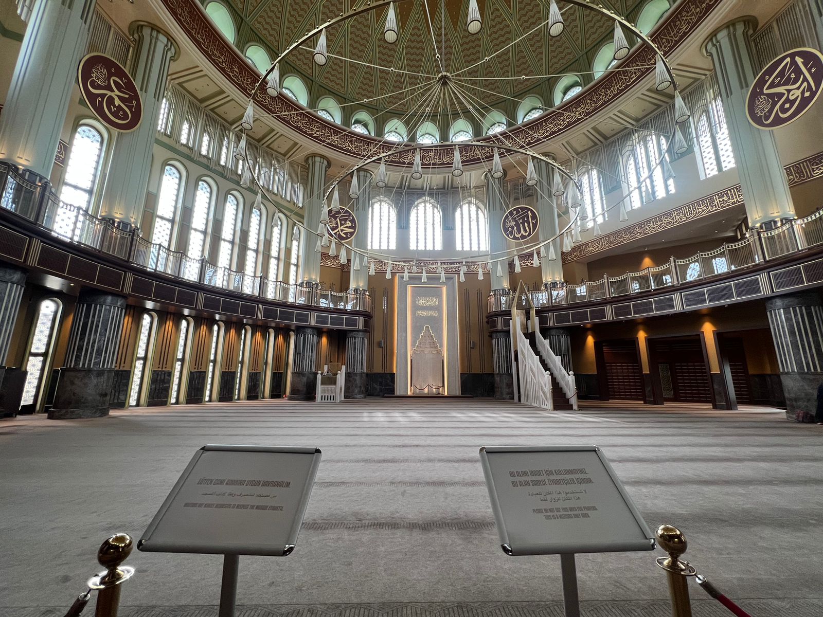 Без названия (1).jpg