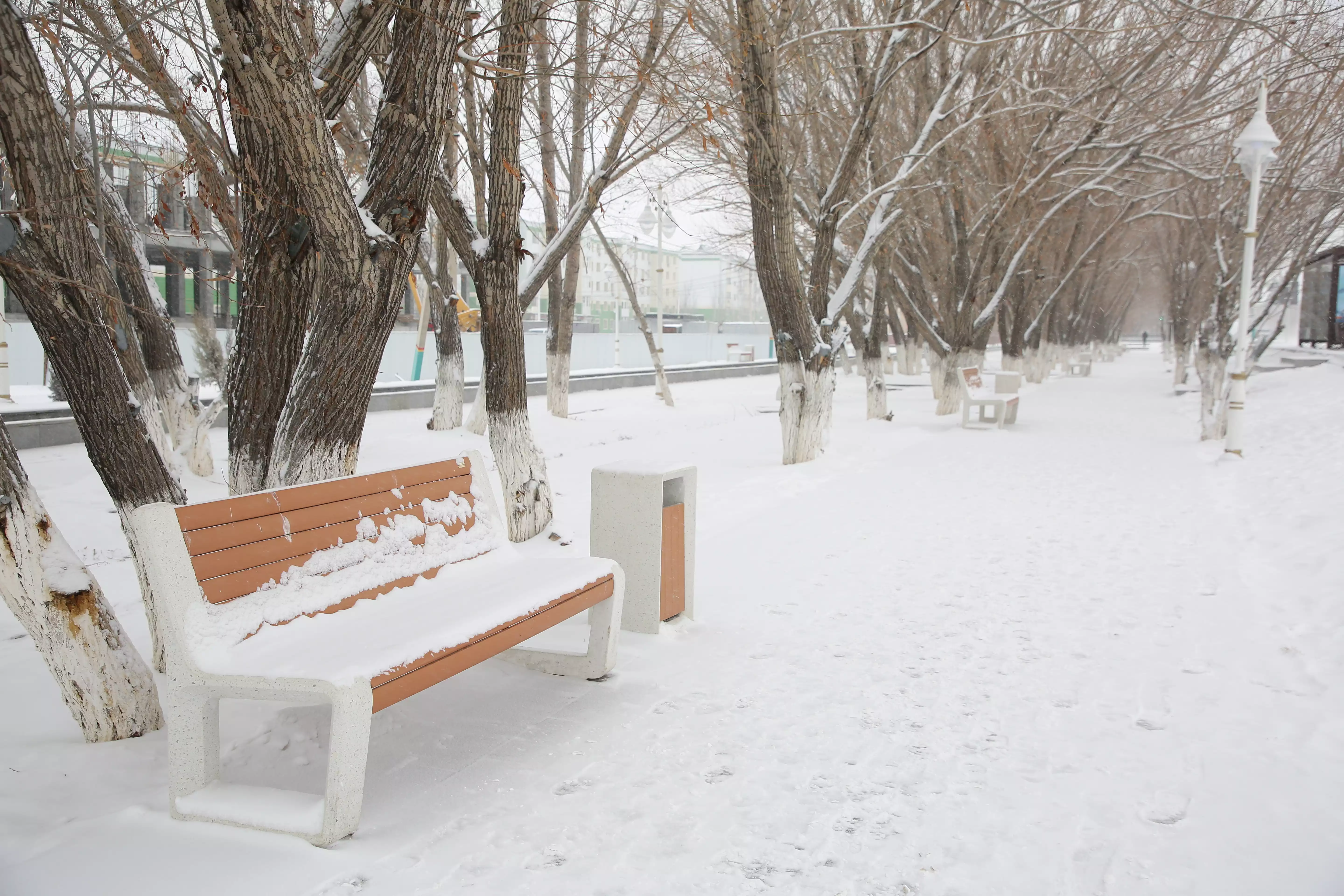 Фоторепортаж Снегопад в Кызылорде 2.webp