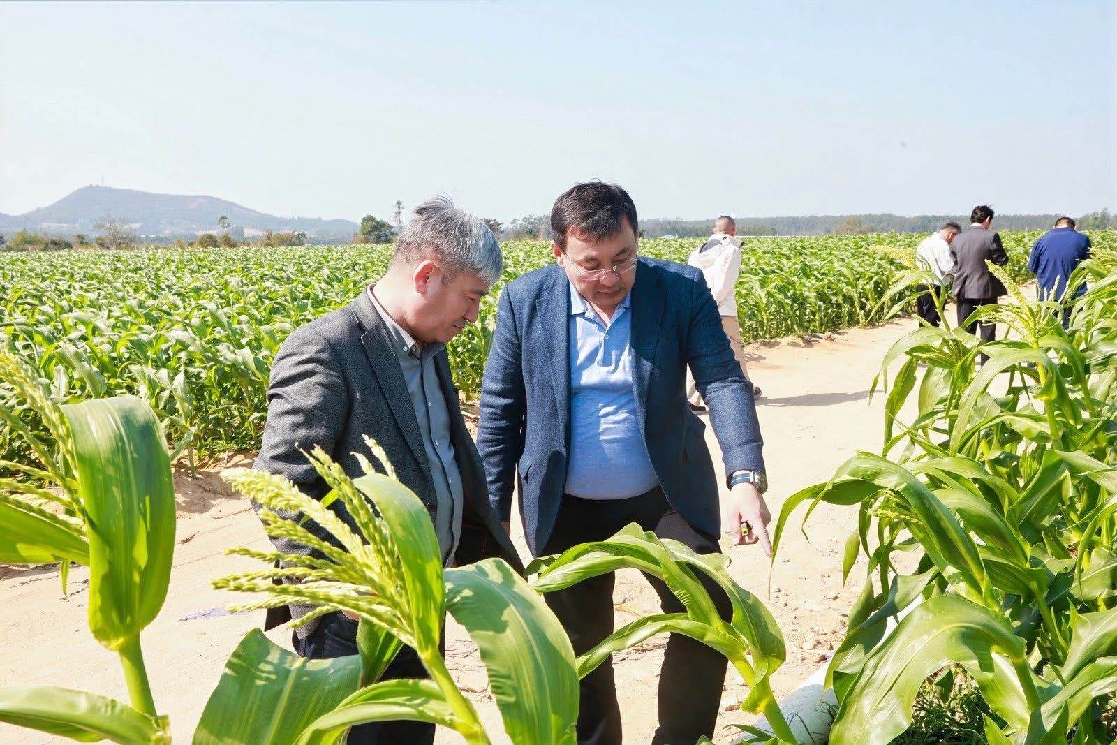 Кызылорда расширяет сотрудничество с Китаем в АПК 1.jpg