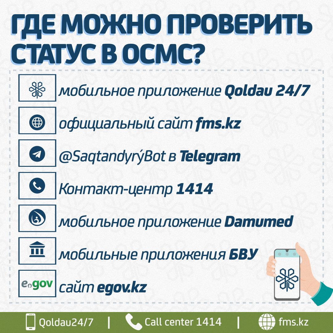 Проверка статуса рус 1.jpg