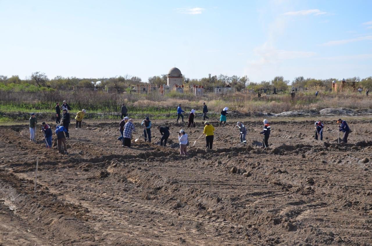 Шиелі тазалық жұмыстары 3.jpg