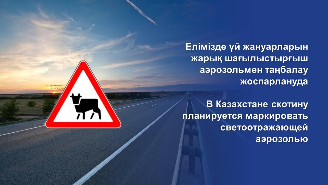 WhatsApp Image 2022-10-17 at 10.39.07.jpeg