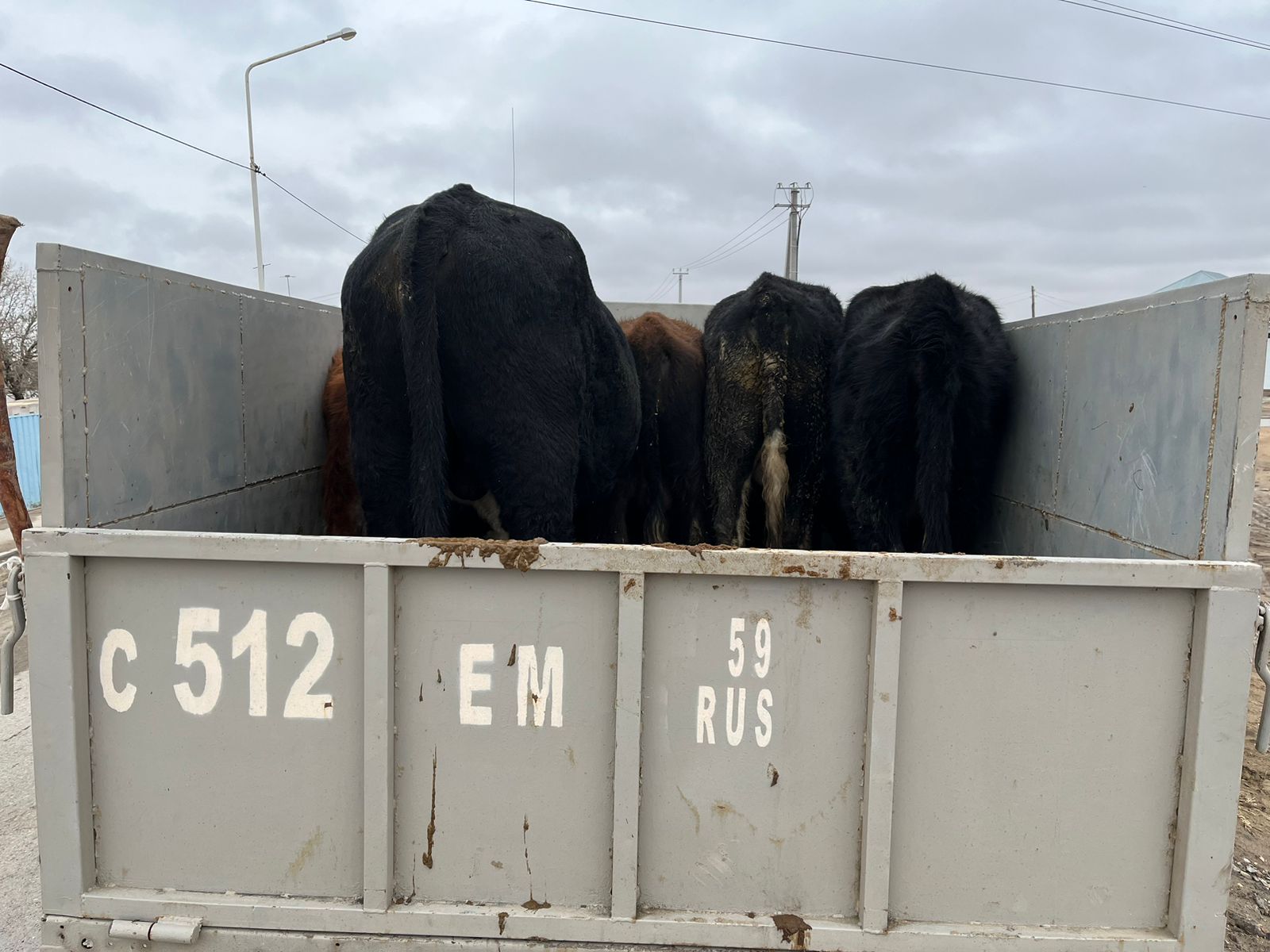 WhatsApp Image 2022-11-30 at 10.06.19.jpeg