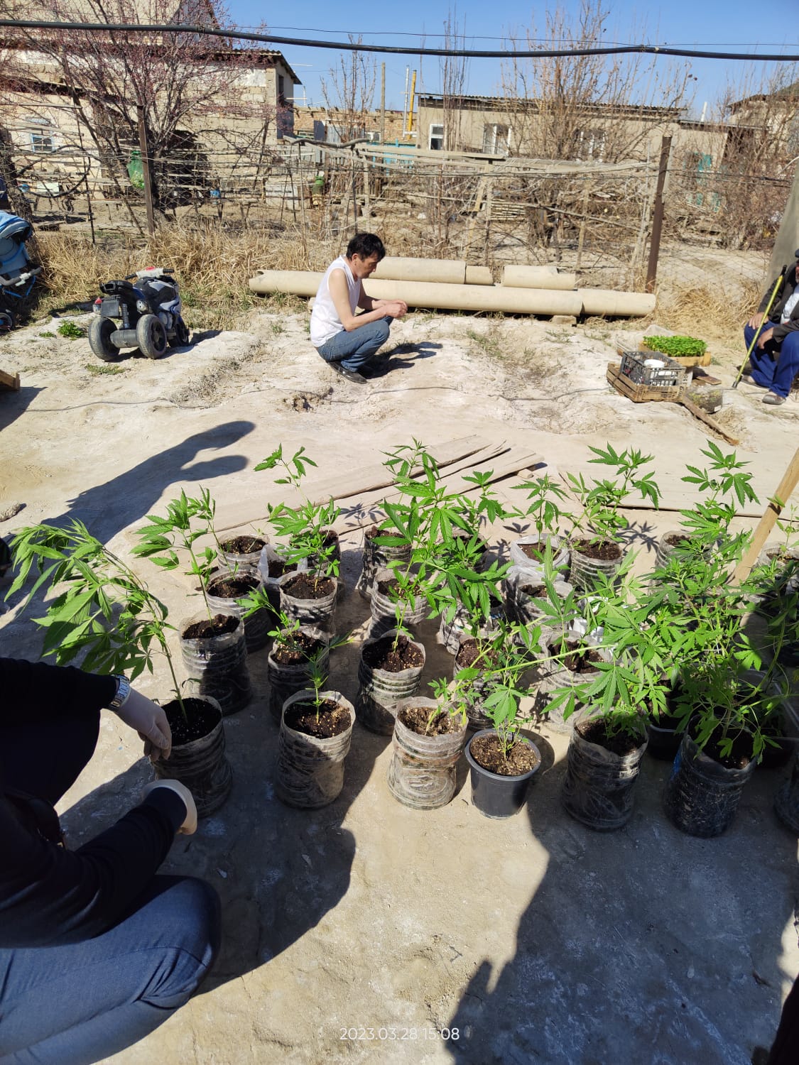 WhatsApp Image 2023-03-29 at 18.34.38.jpeg