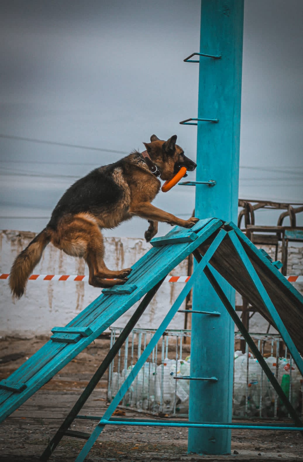 WhatsApp Image 2023-10-12 at 21.25.01.jpeg