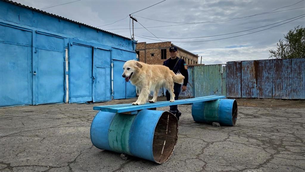 WhatsApp Image 2023-10-12 at 21.30.32 (1).jpeg