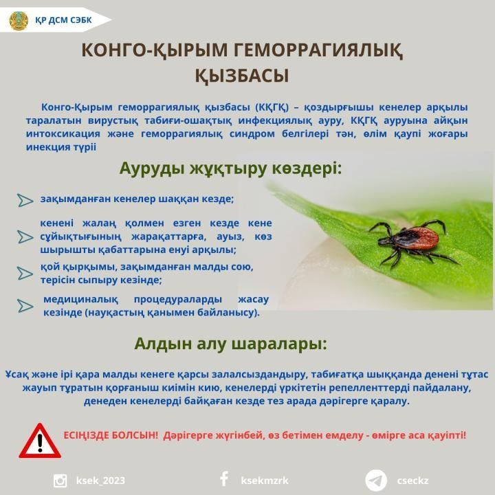 Кенеге қарсы залалсыздандыру жұмыстары.jpeg