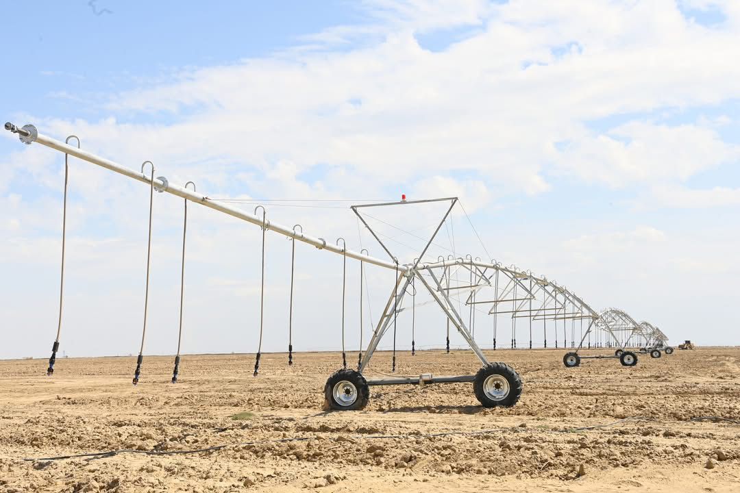 акимат жалагаш 