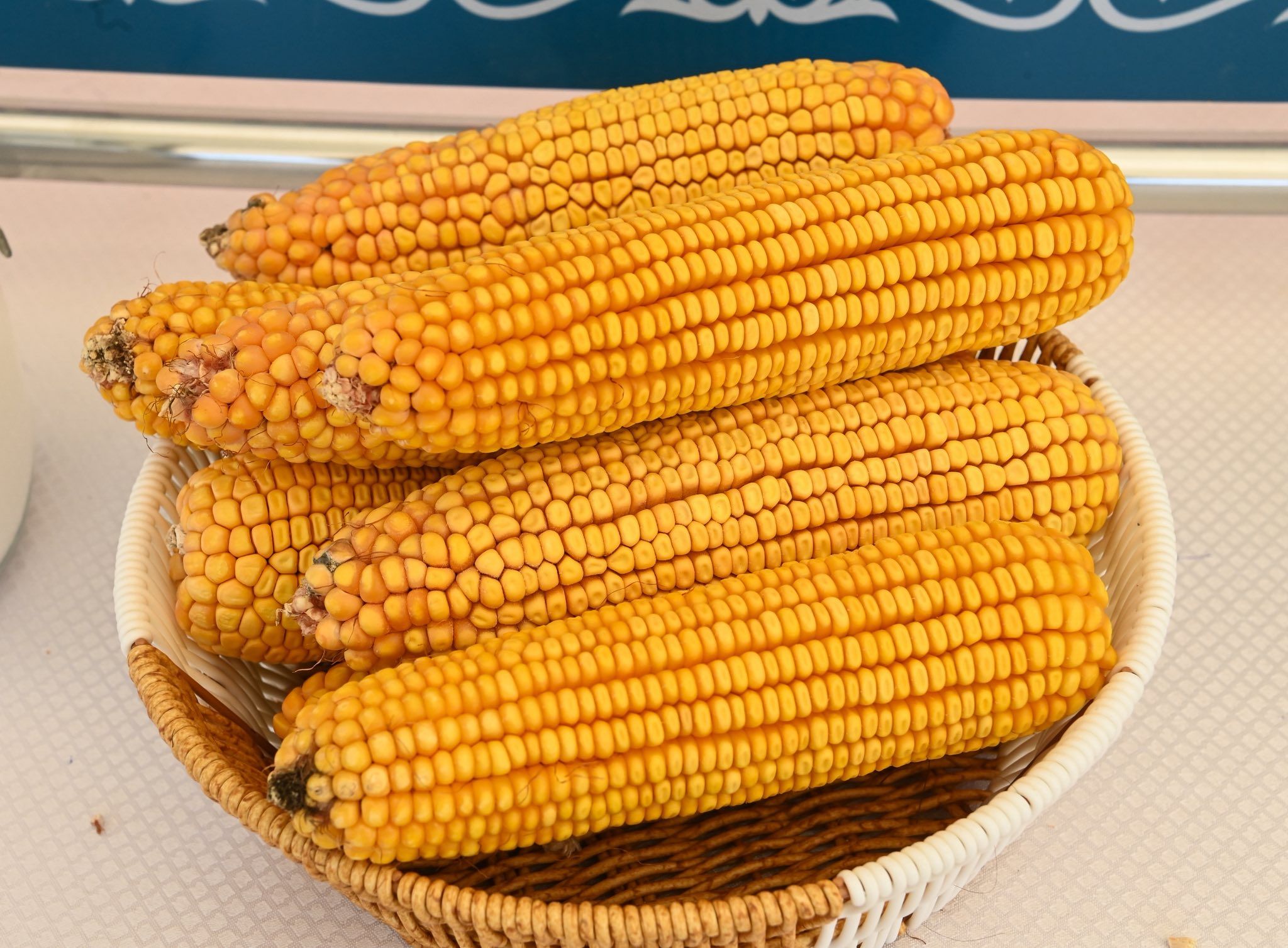 Жүгері өңдеу зауыты 4.jpg