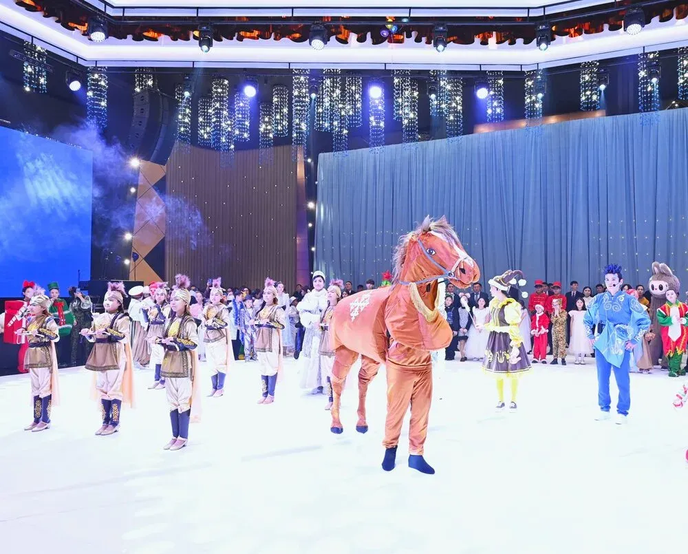 акимат елка 4.webp