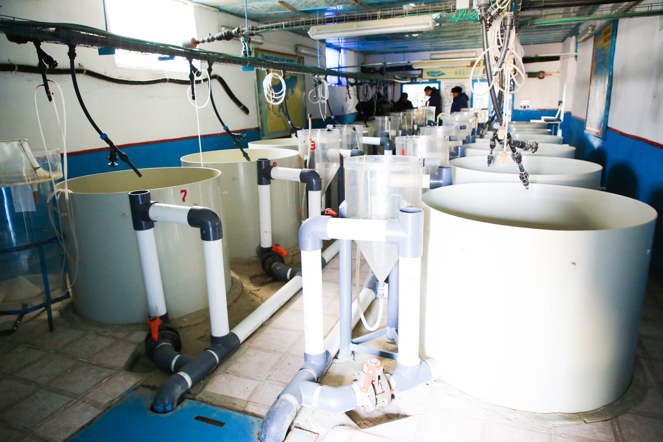 арал. Фото: Нурболат Нуржаубай.jpg