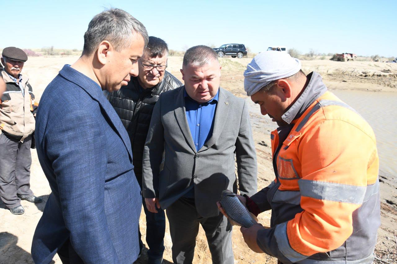 Қазалы балық 3.jpg