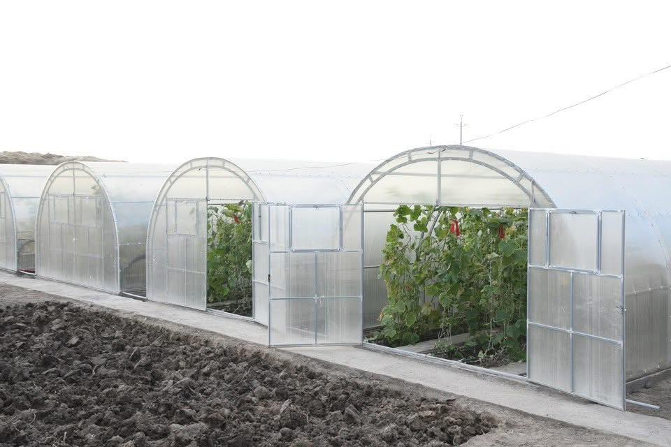 Қазалы кәсіпкерлік 3.jpg