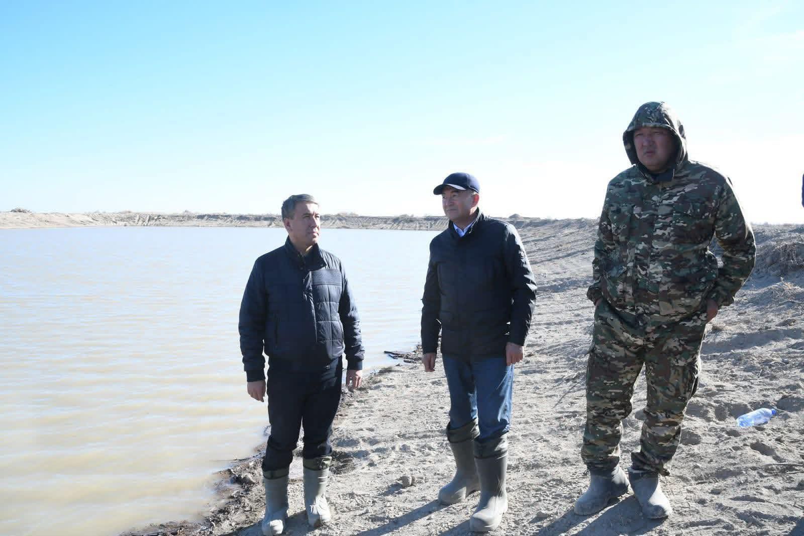 Қазалы тоғанда балық өсіру.jpg