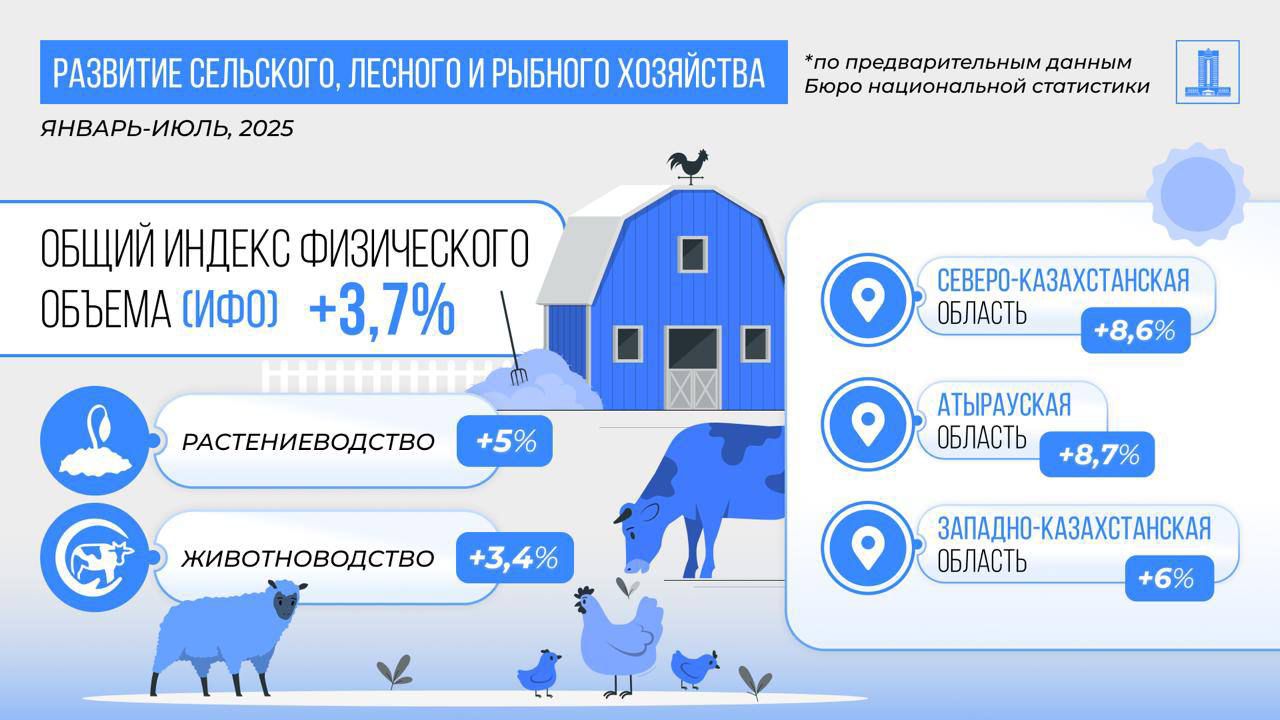 экономика.jpg