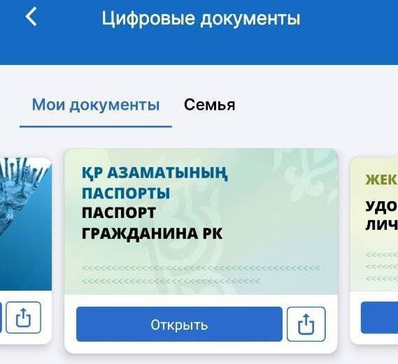 паспорт.jpg