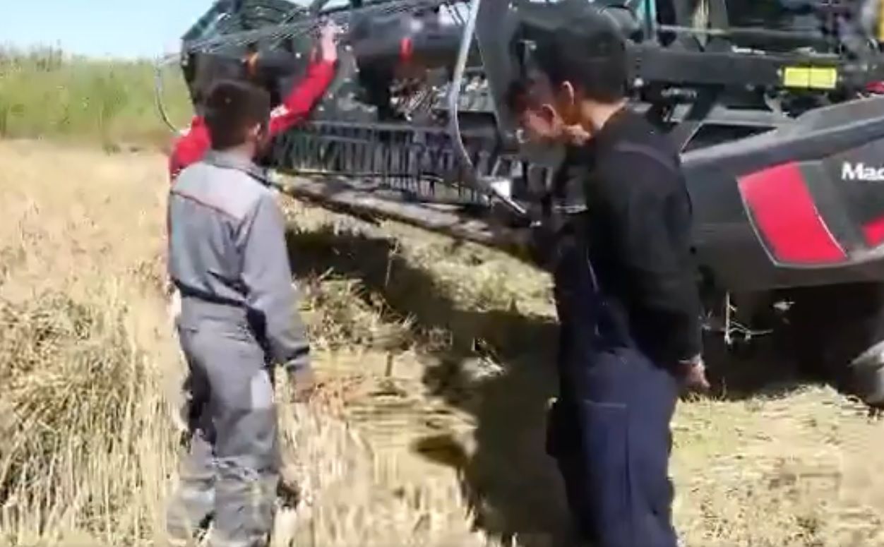 рр.jpg